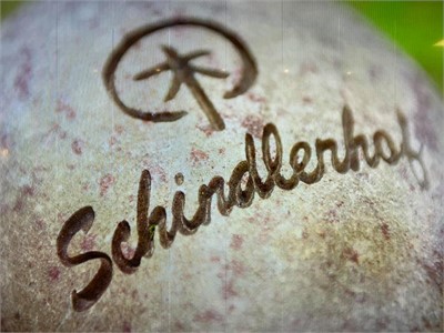 Tagungshotel Schindlerhof - MEET live